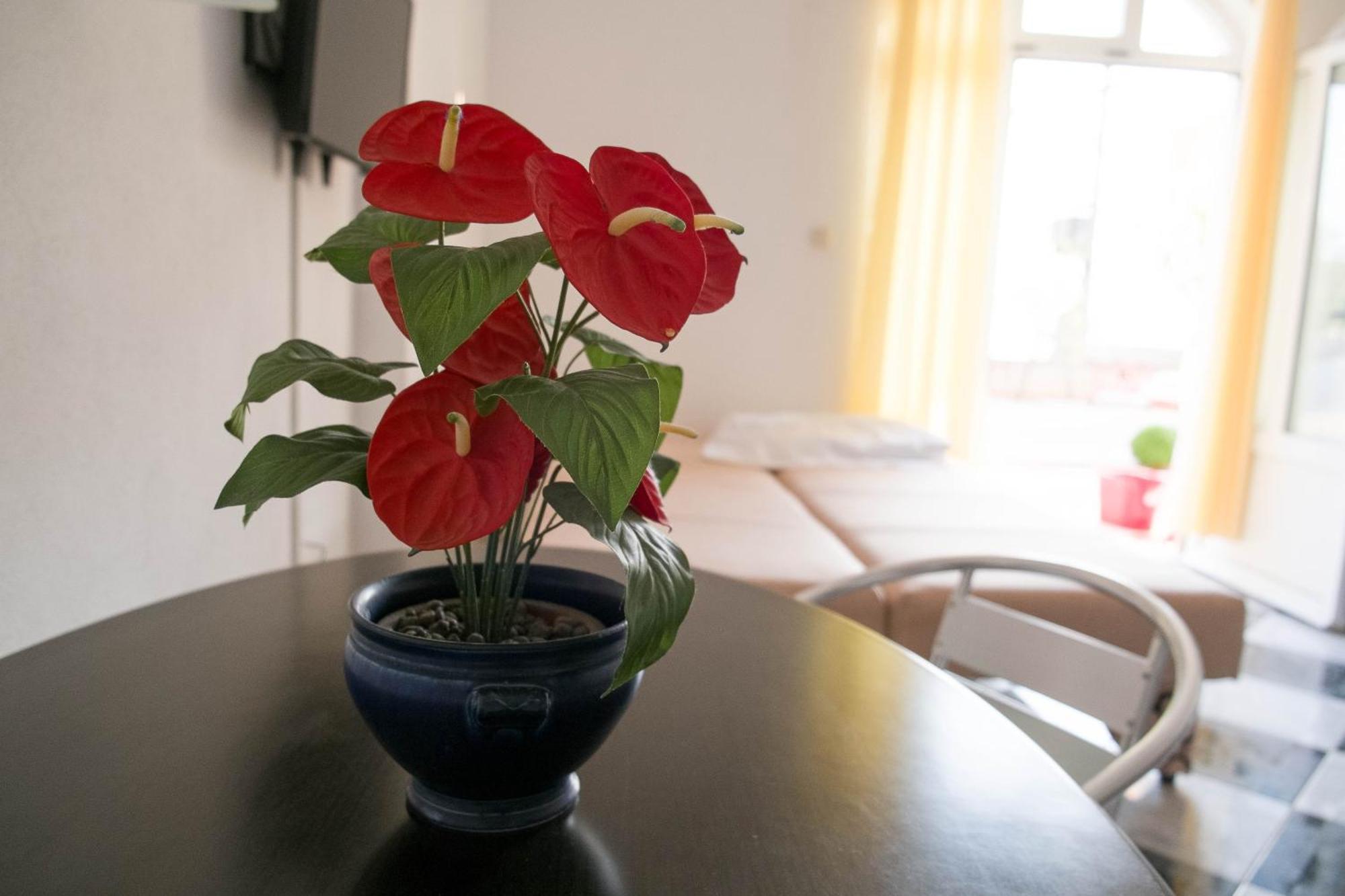 Apartments Damjanovic Makarska Bilik gambar